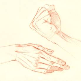 Hand studies | Polychromos pencil on paper | 06/06/2022